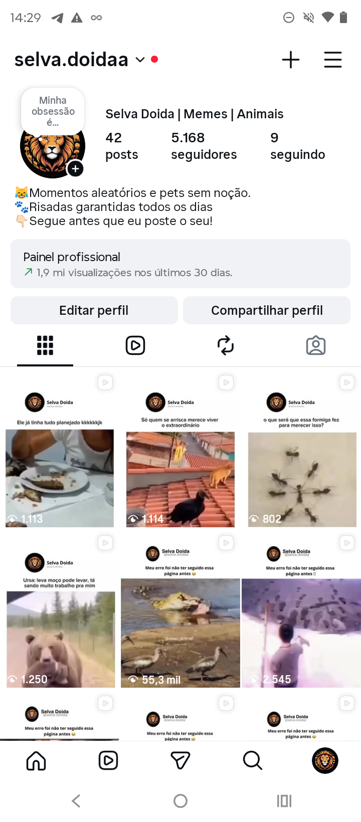 Screenshot_20260607-142922 INSTAGRAM 5K MEMES ANIMAIS - Imagem 1