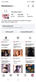 Instagram engajado - Imagem 2