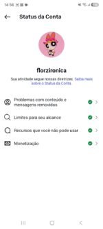 Instagram engajado - Imagem 4