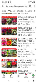 Mega Promoção Canal YouTube quase 14k inscritos - Imagem 2