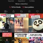 Conta TikTok Monetizável – 13,3 Mil Seguidores + 191 Mil Curtidas