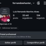 Instagram 33K seguidores brasileiros 🇧🇷