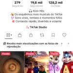 CONTA TIKTOK | 19,8mil SEG👥 | 128,2mil CURT❤️ | NICHO hits dos esquilinhos ,tiktok shop ativo 🧸 | SHOP ATIVA  💰 Conta Monetizada