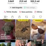 Conta tiktok nicho humor