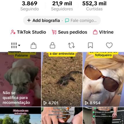 Conta tiktok nicho humor