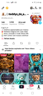 CONTA TIKTOK 3,155 SEG👥 22,6 mil CURT❤️ | NICHO TEDDY ,aproveite essa oportunidade 💰