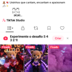 CONTA TIKTOK 4,403 SEG👥 28,7mil CURT❤️ | NICHO TEDDY ,aproveite essa oportunidade 💰