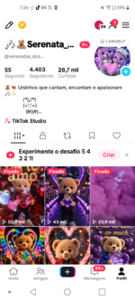 CONTA TIKTOK 4,403 SEG👥 28,7mil CURT❤️ | NICHO TEDDY ,aproveite essa oportunidade 💰