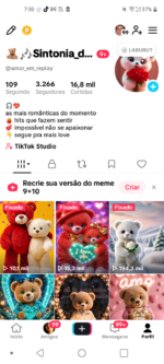 CONTA TIKTOK 3,266 SEG👥 16,8mil CURT❤️ | NICHO TEDDY ,aproveite essa oportunidade