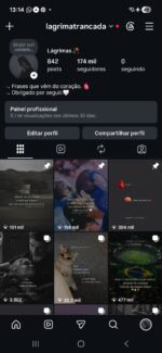 Baixei o valor Instagram impecável 174k totalmente orgânicos engajados