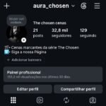 Instagram 32,8K Seguidores Reais 🇧🇷