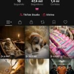 Conta do tiktok com 47k de seguidores