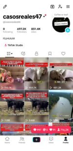 Conta TikTok americana 🇺🇸 Não uso mais! Ótima oportunidade para construir uma audiência e crescer um projeto. Aproveite! 🚀