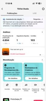 TIKTOK AMERICANO MONETIZADO PRONTO PARA POSTAR 16MIL SEGUIDORES - Imagem 3
