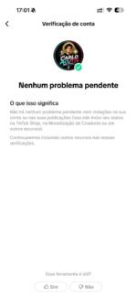 TIKTOK AMERICANO MONETIZADO PRONTO PARA POSTAR 16MIL SEGUIDORES - Imagem 5