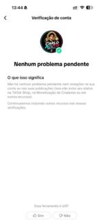 🔥 TIKTOK AMERICANO MONETIZADO! 16.9 MIL SEGUIDORES REAIS – PRONTO PARA LUCRAR HOJE! - Imagem 3