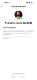 Tiktok 17mil Seguidores Reais Conta Americana MONETIZADA - PREÇO DE REVENDA - Imagem 5