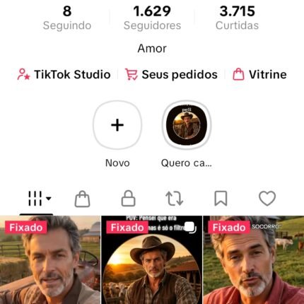 TIK TOK SHOP | 1.629 SEGUIDORES 100% BR