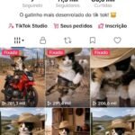 🐱🔥TikTok 11.5K Recém Monetizado! (Limpo, Viral e Autêntico)