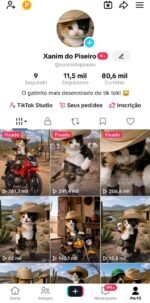 🐱🔥TikTok 11.5K Recém Monetizado! (Limpo, Viral e Autêntico)