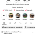 Página no TikTok com 39K 100% seguidores reais