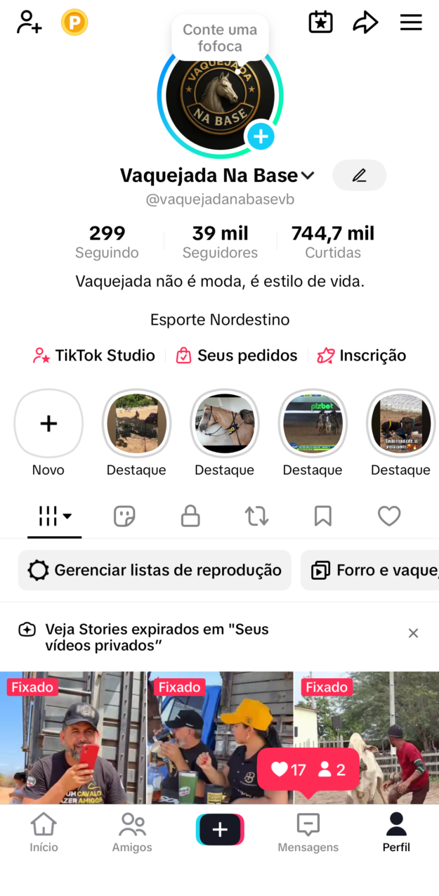 cropped-IMG_0192.png Página no TikTok com 39K 100% seguidores reais - Imagem 1