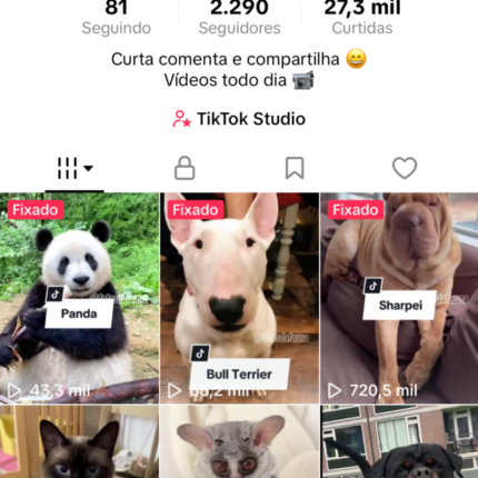 🚀 VENDO PERFIL TIKTOK PRONTO PARA MONETIZAÇÃO