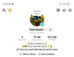 Conta TikTok 17k