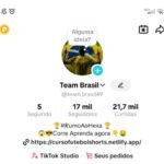 Conta Tik Tok 17k