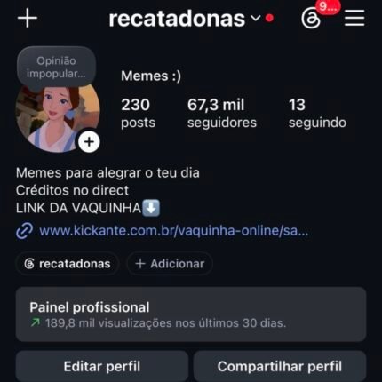 Instagram 67K seguidores reais
