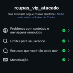 Perfil do instagram 101 k | Pronto pra monetizar