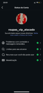 Perfil do instagram 101 k | Pronto pra monetizar