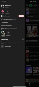 Conta SPOTIFY plano TRIMESTRAL