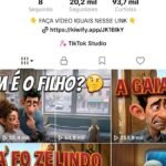 CONTA TIKTOK BR +20k MONETIZADA SEM RESTRIÇÕES