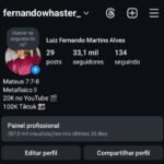 Instagram 33K seguidores brasileiros 🇧🇷