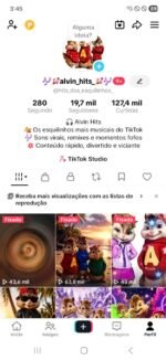 CONTA TIKTOK | 19,7mil SEG👥 | 127,4K CURT❤️ | NICHO Alvin e os esquilos,tiktok shop ativo ,e Conta monetizada 🧸 | SHOP ATIVA  💰