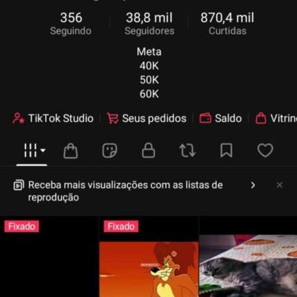 Conta TikTok