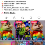 CONTA TIKTOK 3,953 SEG👥 | 18mil CURT❤️ | NICHO esquilinhos,🧸 | aproveita a oportunidade   💰