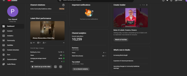 cropped-Screenshot_24.png CANAL DE 10K NICHO CURIOSIDADES A VENDA - Imagem 1