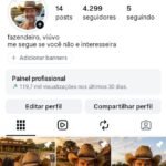 Conta de Instagram