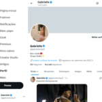 Conta no X (twitter) mais de 14k verificada Nicho HOT + Estrutura completa vazados com conteúdos, +4 contas aquecidas com seguidores e engajamento, Grupos Prévias e VIP e Bot só pegar e vender