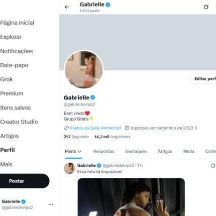 Conta no X (twitter) mais de 14k verificada Nicho HOT + Estrutura completa vazados com conteúdos, +4 contas aquecidas com seguidores e engajamento, Grupos Prévias e VIP e Bot só pegar e vender