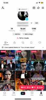 CONTA TIKTOK MONETIZADA ESTADOS UNIDOS ALTO ENGAJAMENTO - Imagem 2