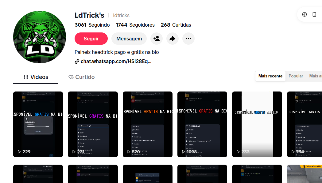 Captura de tela 2026-07-03 092746 Perfil TikTok freefire com 1.744 seguidores - Imagem 1