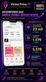Conta TikTok Shop Exclusiva com mais de 2,3K seguidores Vitrine Ativa + Benefícios Adicionais - Imagem 3