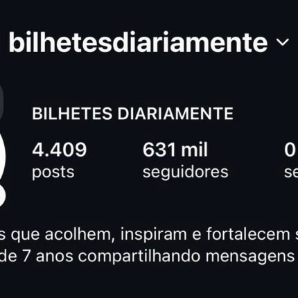 PAGINA INSTAGRAM 630K ORGÂNICA