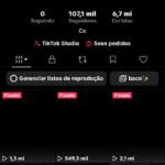 Conta de Tiktok com 100k de seguidores com tiktok ativo