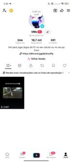 Conta TikTok 18 mil seguidores