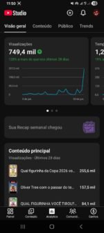 Canal ativo com 2 videos diário - Imagem 3