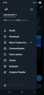 Conta no X(Twitter) quase monetizada - Imagem 2